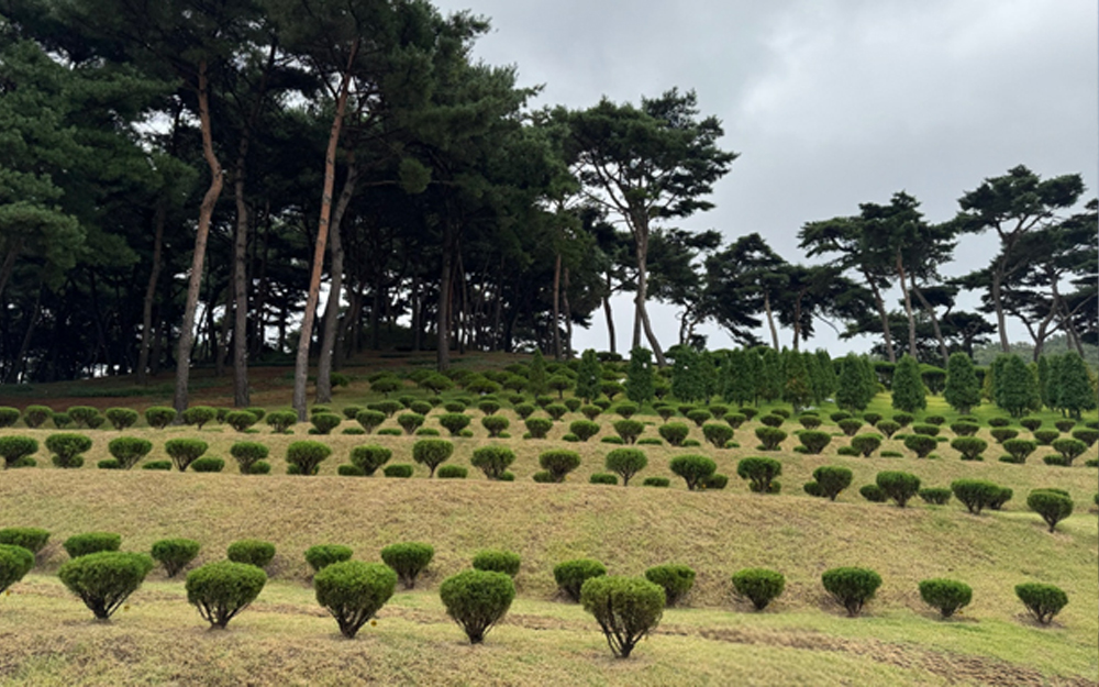 무선네트워크공사