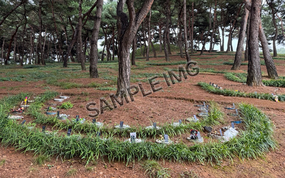 연차별 묘지 관리 대행 솔루션
